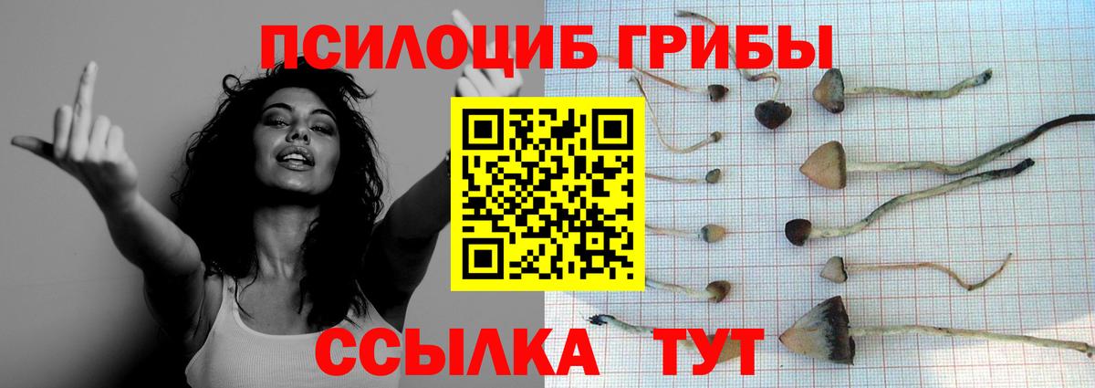Галлюциногенные грибы мицелий Нижневартовск