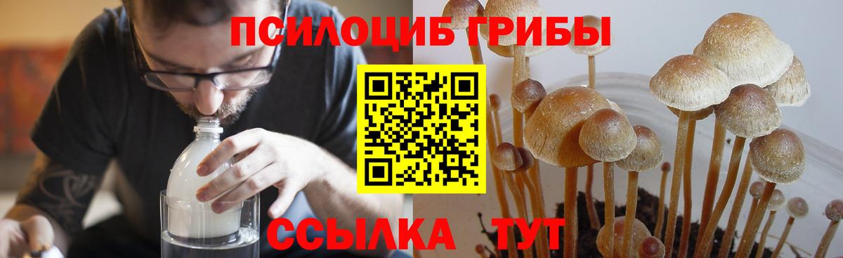Нижневартовск  дарнет шоп  Вход с VPN  Псилоцибиновые грибы Cubensis 
